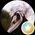 Maxime's profile picture