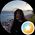 Photo de profil de Rose Yu