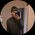 Newbendo “fulek94p”'s profile picture