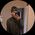 Newbendo “fulek94p”'s profile picture